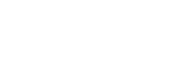 Strategic Global Solutions